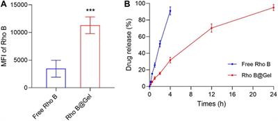 In-situ formed thermosensitive hydrogel amplifies statin-mediated immune checkpoint blockade for coordinated tumor chemo-immunotherapy